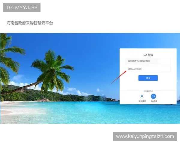 开云网站登录入口安全登录技巧，保障您的账号信息安全无忧